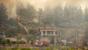 Son üç günde çıkan yangınlar yaklaşık 10 bin hektarlık alanı küle çevirdi