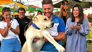 Yangından kurtulan patili dostlara yeni yuva