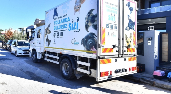 7 bin kediye mobil kısırlaştırma