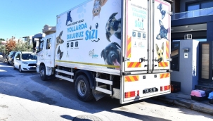 7 bin kediye mobil kısırlaştırma