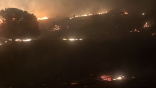 Aliağa'da otluk alanda çıkan yangın söndürüldü