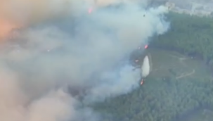 İzmir Buca'da orman yangını