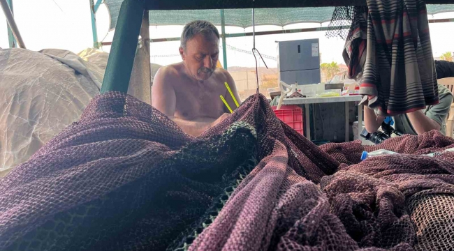 İzmir'de deniz kirliliği balığı vurdu: Sardalyasız sezon kapıda