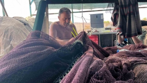 İzmir'de deniz kirliliği balığı vurdu: Sardalyasız sezon kapıda