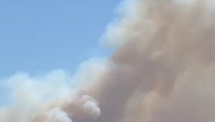 İzmir'de ormanlık alanda yangın çıktı, havadan ve karadan müdahale başladı