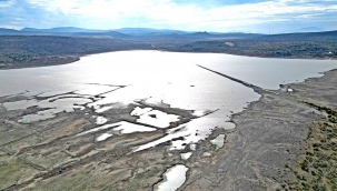 İzmir'deki kuraklık Türkiye'nin kışlık tarımını tehdit ediyor
