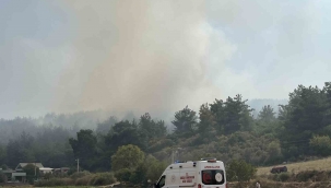 Menderes'deki yangın kontrol altına alındı