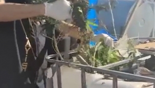 Tarihi Kemeraltı Çarşısı'nda uyuşturucu operasyonu: 3 gözaltı