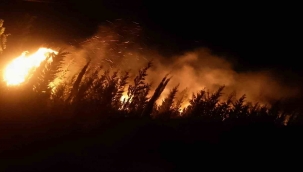 Urlada makilik ve ormanlık alanda yangın