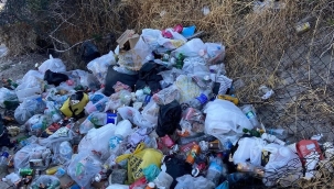 Dikili Belediyesi Pissa Koyu çöplüğe çevrildi