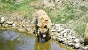 Doğal Yaşam Parkı'nda kış saati uygulaması başlıyor