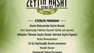 Aliağa'da 4. Geleneksel Zeytin Hasat Şenliği Düzenlenecek