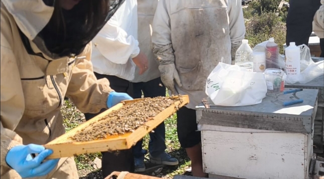 Aliağa'da Bal Üreticilerine Organik Asit Kullanımı Eğitimi