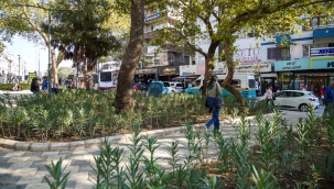 Beyazıt Aykut Parkı yenilendi