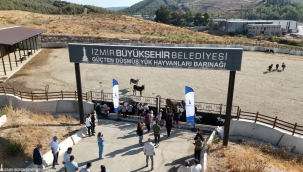 Büyükşehir'in İngilizce Konuşma Kulübü öğrencileri Pako'da