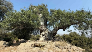 Menemenli muhtarlardan çöp tesisi tepkisi