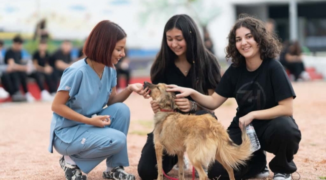 Sahipsiz hayvanlara kötü muamele son bulsun
