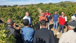 Sakız Ağacı için Aydınlı üreticilerden Çeşme'ye ziyaret