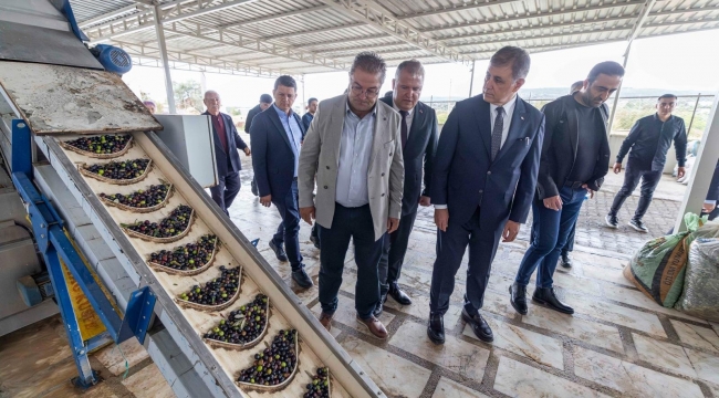 Sezonun ilk zeytinyağı Başkan Tugay'dan
