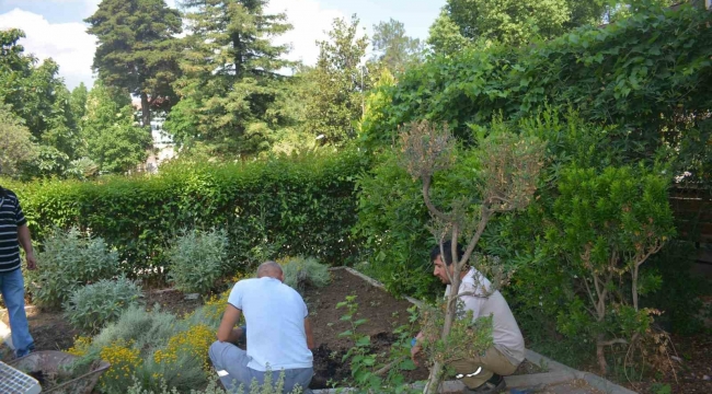 Ege Üniversitesinin endemik tür cenneti: Botanik Bahçesi