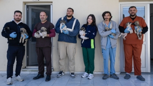 İzmirli hayvansever Çörekçi'nin emanetlerine İzmir Büyükşehir Belediyesi sahip çıktı