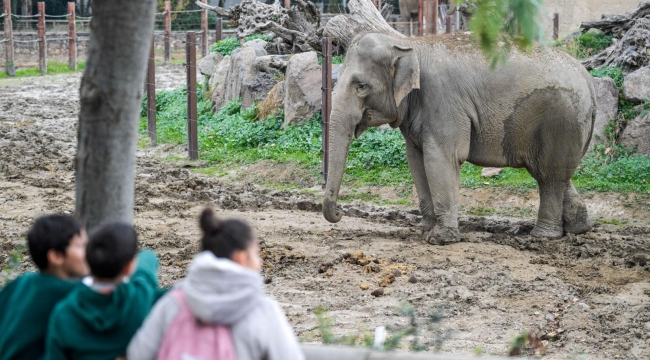 Çocuklara hayvan sevgisi kazandırılıyor