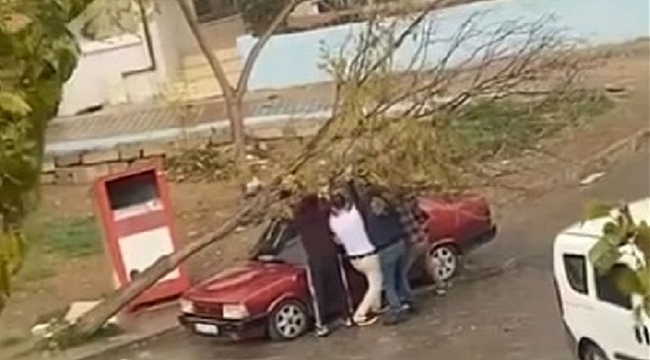 İzmir'de park halindeki otomobilin üzerine ağaç devrildi
