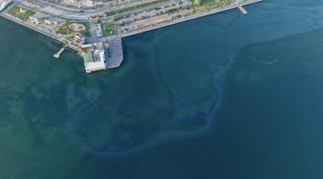 İzmir Körfezi'nde çevre kirliliği