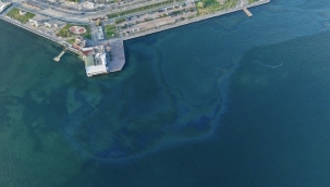 İzmir Körfezi'nde çevre kirliliği
