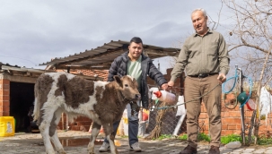 Çiftçiye buzağı kiti ve dezenfektan desteği