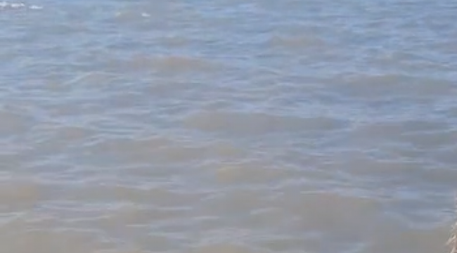 Aliağa'da Arıtma Tesisi Tartışması: Siyasetin Gündemi Deniz Kirliliği