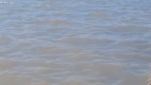 Aliağa'da Arıtma Tesisi Tartışması: Siyasetin Gündemi Deniz Kirliliği