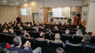 Avrupa'nın en büyük sera kümelenmelerinden biri Dikili'de yükseliyor