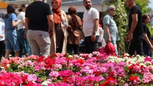 Bayındır Çiçek Festivali için geri sayım başladı