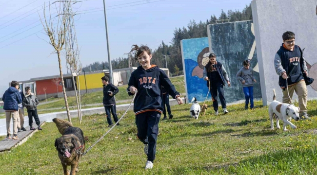 İzmir'de 2 bin 300 patili yuva bekliyor
