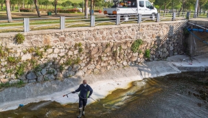 "Mevsimsel sinekler zararsız"