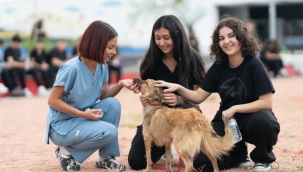 On binlerce cana dokunan seferberlik