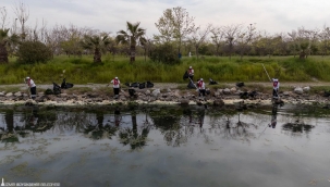 Çakalburnu Lagünü'nden Körfez'e yayılan yosunlara yoğun müdahale