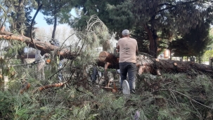Fırtınadan etkilenen mezarlıklara hızlı müdahale