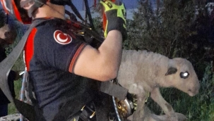 Kuyuya düşen kuzuya itfaiyeden nefes kesen kurtarma