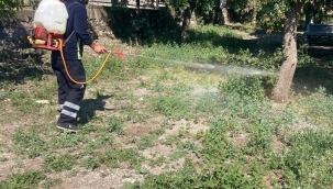 Aliağa'da Büyükşehir Belediyesi Çalışmalarına Devam Ediyor
