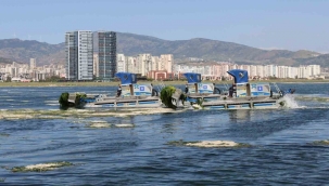 Büyükşehir'den Körfez'de temizlik mesaisi