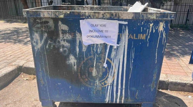 İzmir'de çöpte 33 ölü kedi bulunmasıyla ilgili bir veteriner gözaltına alındı