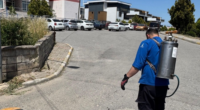 İzmir Büyükşehir Belediyesi'nin Aliağa'daki Çalışmaları Sürüyor