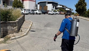İzmir Büyükşehir Belediyesi'nin Aliağa'daki Çalışmaları Sürüyor