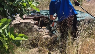 İzmir'de sivrisineğe karşı dev mücadele