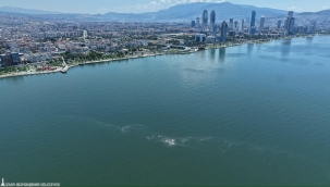 İzmir Körfezi'nde 14'üncü kez kirlilik tespit edildi