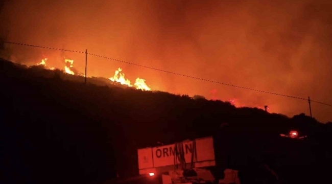 Dikili'de makilik alanda yangın