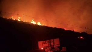 Dikili'de makilik alanda yangın