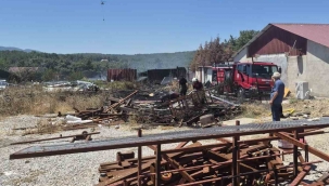 İzmir'deki orman yangınlarında iki gözaltı